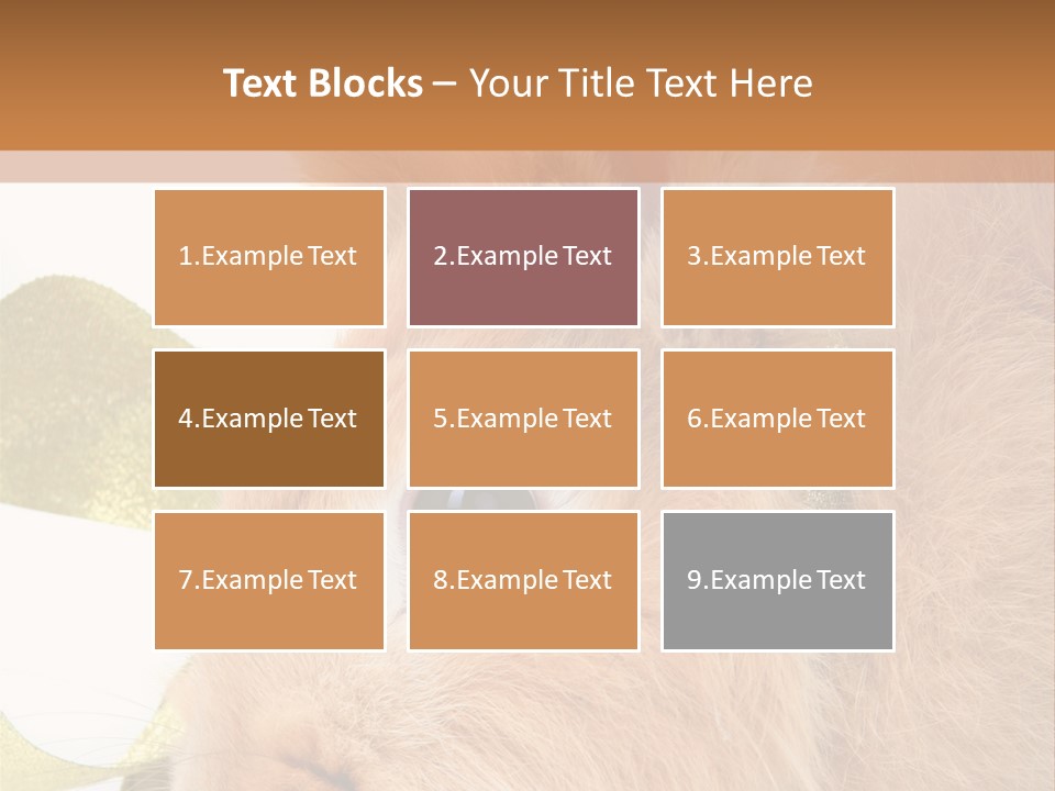 Office Li Ten People PowerPoint Template