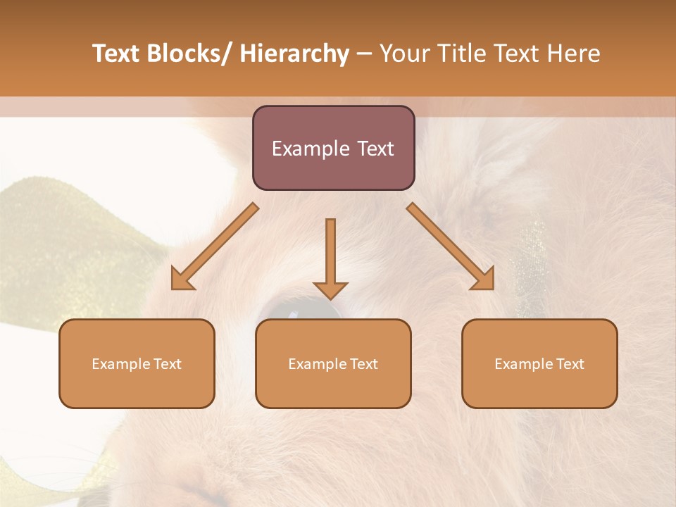 Office Li Ten People PowerPoint Template