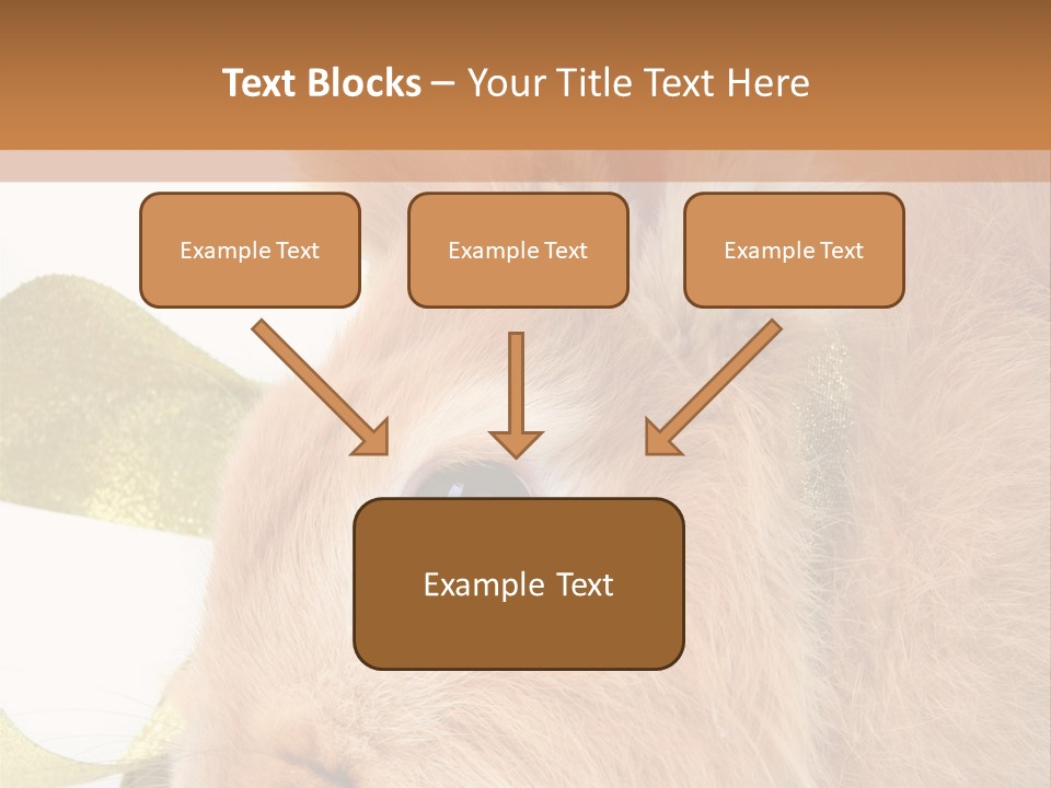 Office Li Ten People PowerPoint Template