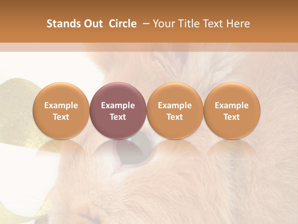 Office Li Ten People PowerPoint Template