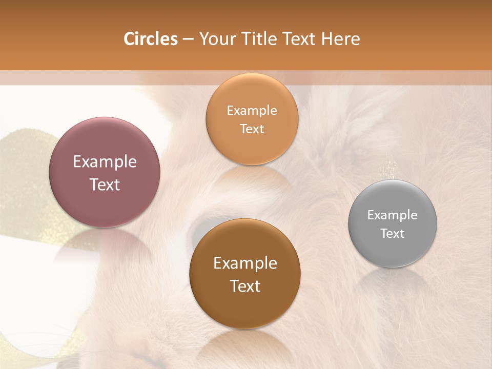 Office Li Ten People PowerPoint Template
