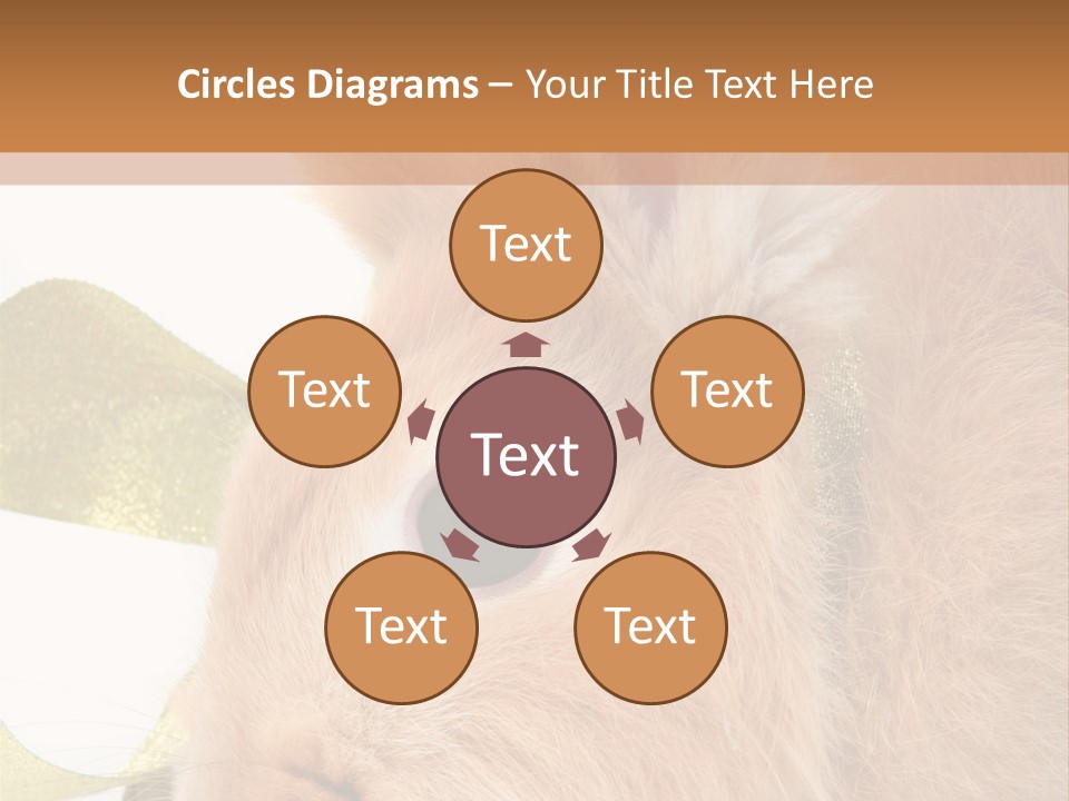 Office Li Ten People PowerPoint Template