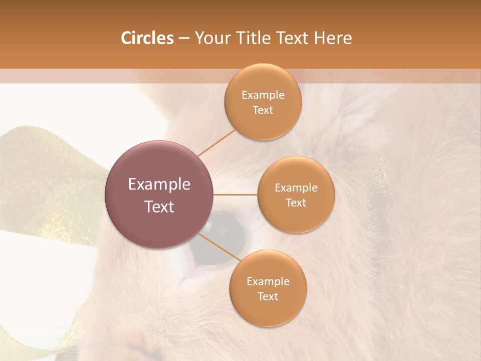 Office Li Ten People PowerPoint Template