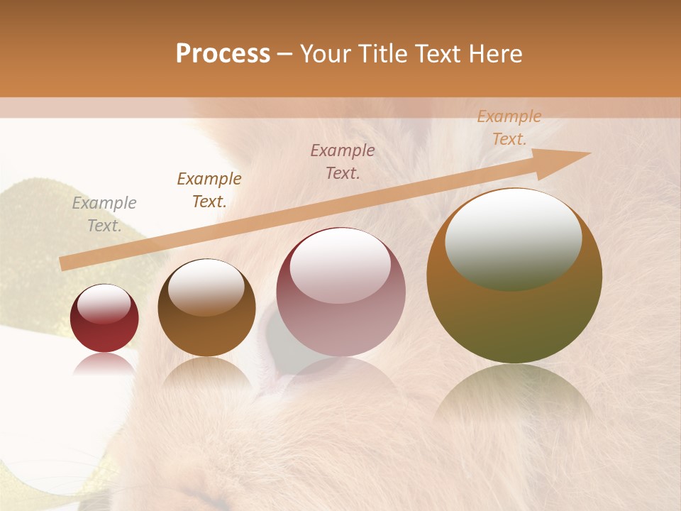 Office Li Ten People PowerPoint Template