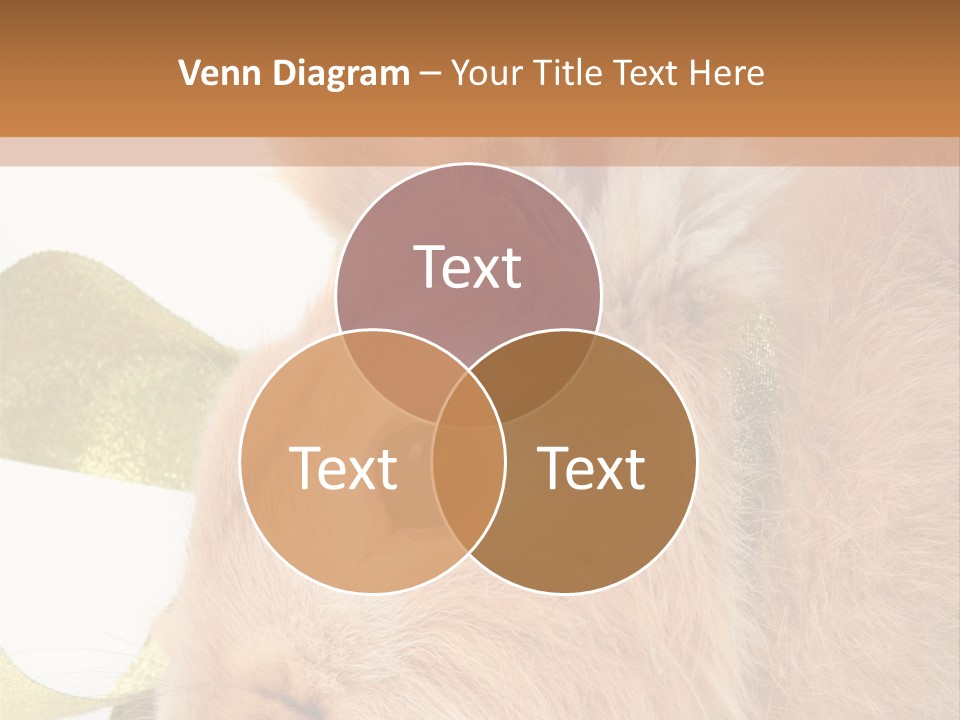 Office Li Ten People PowerPoint Template