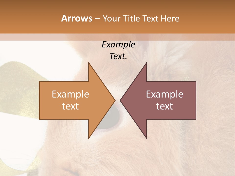 Office Li Ten People PowerPoint Template