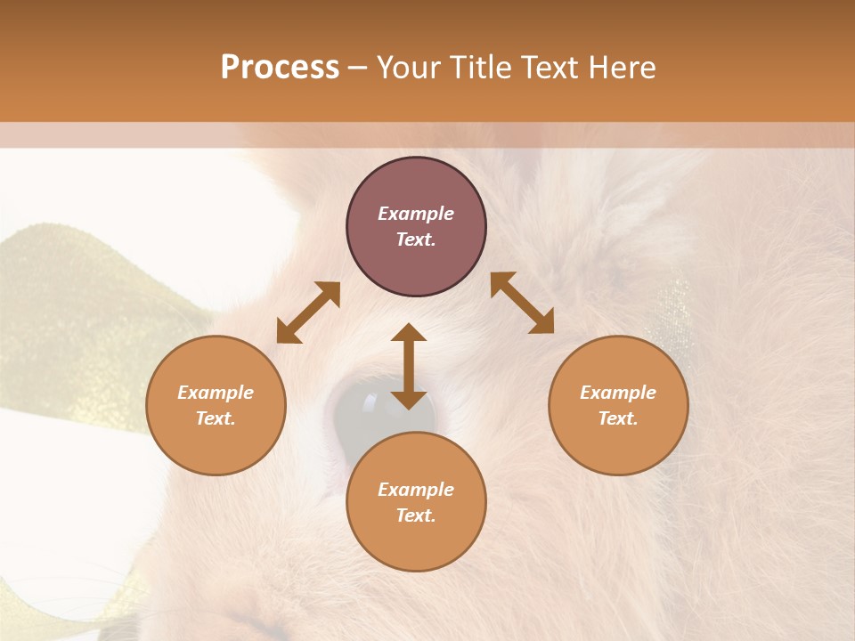 Office Li Ten People PowerPoint Template