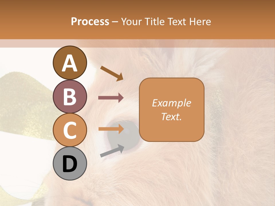 Office Li Ten People PowerPoint Template