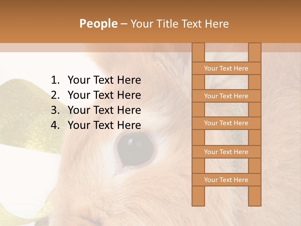 Office Li Ten People PowerPoint Template