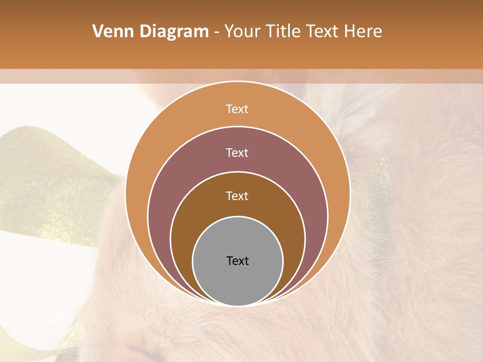 Office Li Ten People PowerPoint Template
