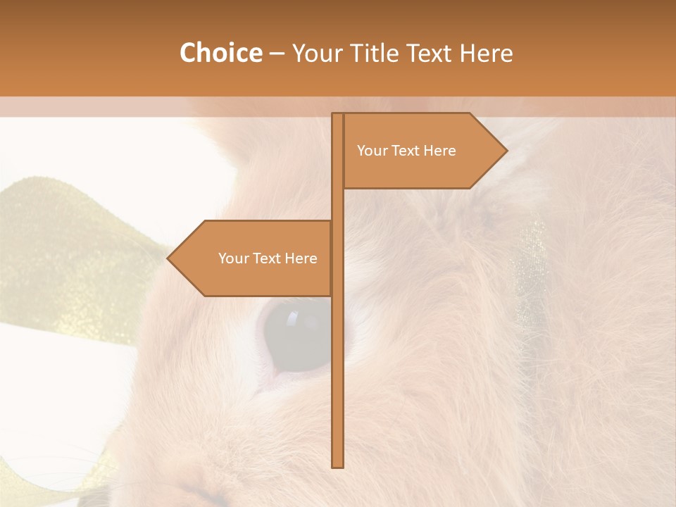 Office Li Ten People PowerPoint Template