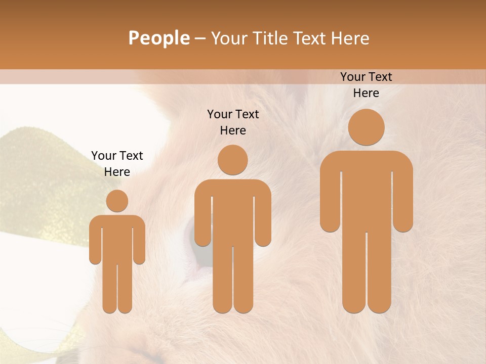 Office Li Ten People PowerPoint Template