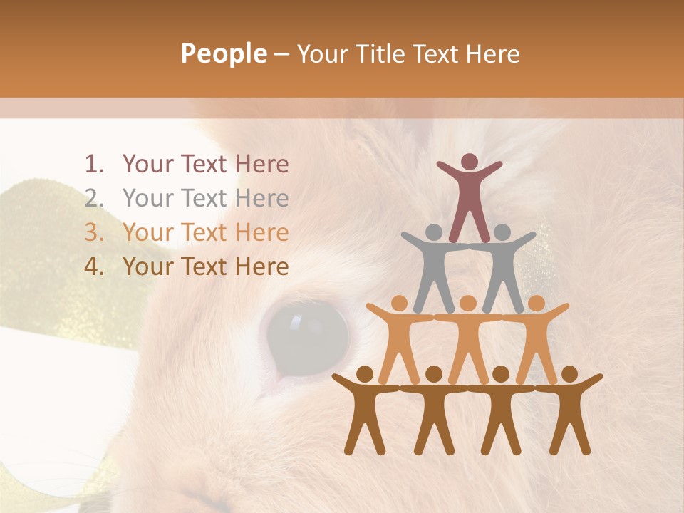 Office Li Ten People PowerPoint Template