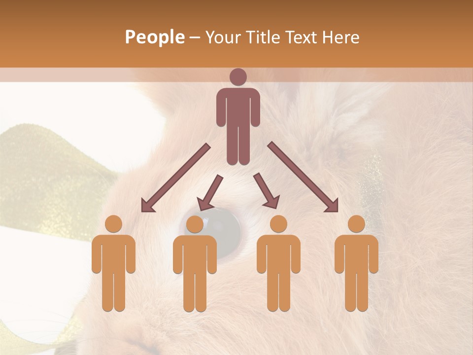 Office Li Ten People PowerPoint Template