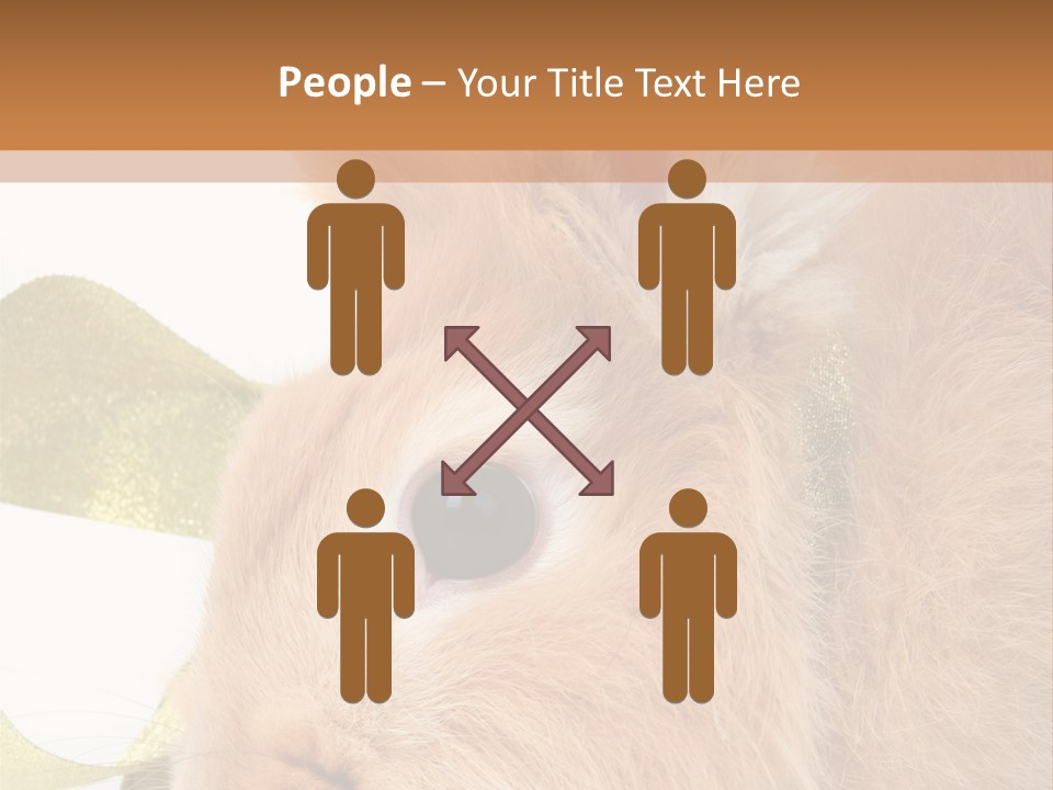 Office Li Ten People PowerPoint Template