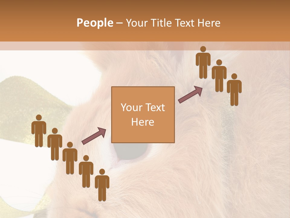 Office Li Ten People PowerPoint Template