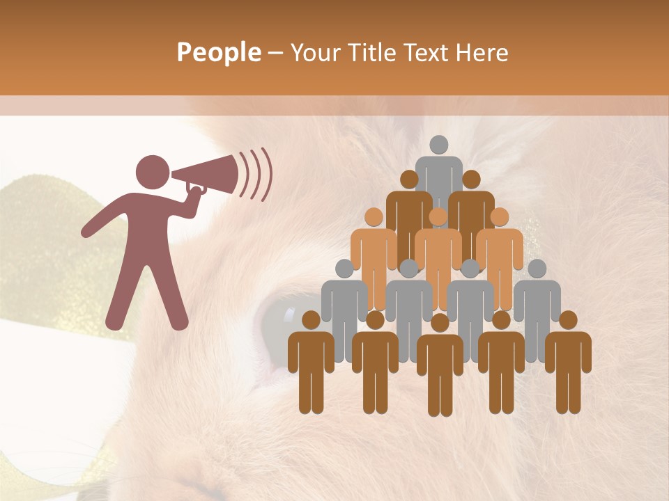 Office Li Ten People PowerPoint Template