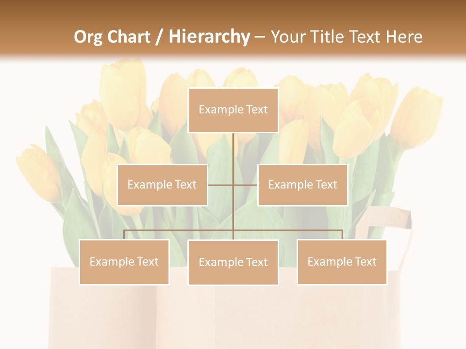 Tulips Yellow PowerPoint Template