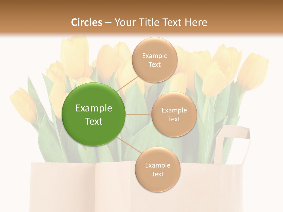 Tulips Yellow PowerPoint Template