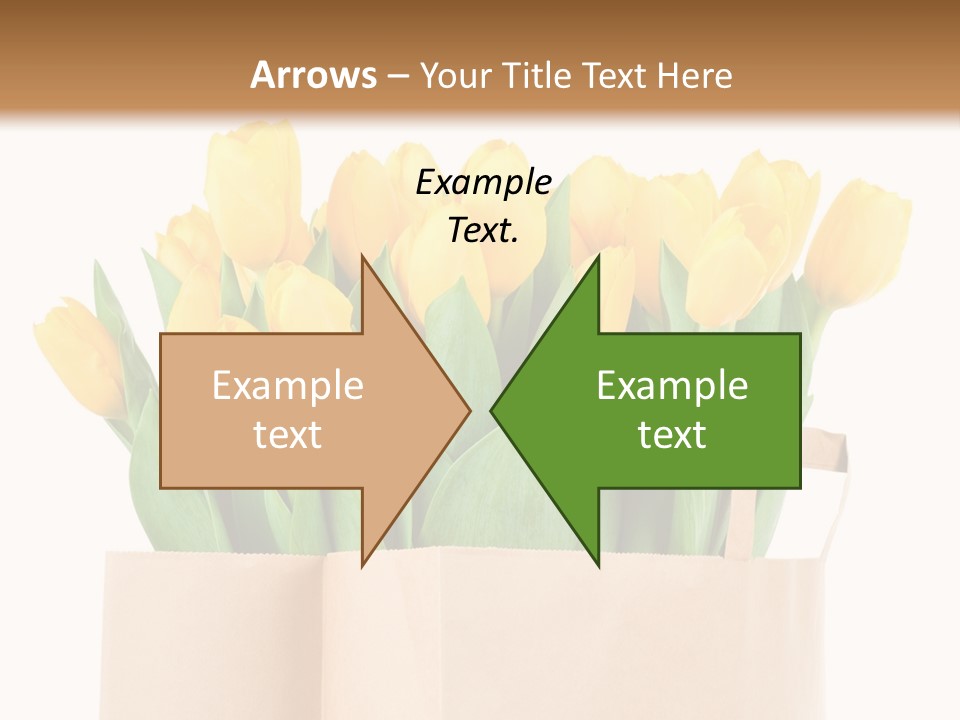 Tulips Yellow PowerPoint Template