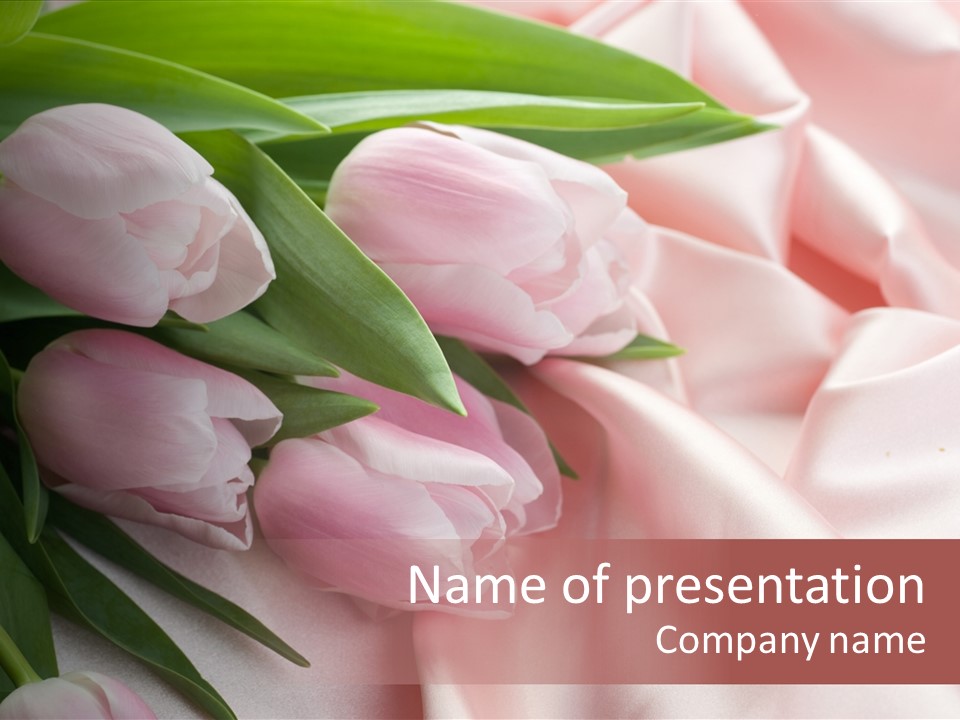 Tulip PowerPoint Template