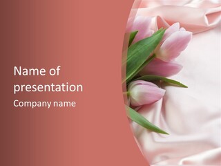 Tulip Wallpapers For Desktop PowerPoint Template