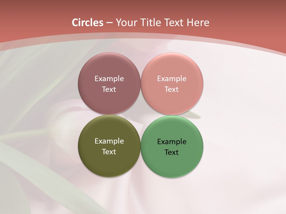 Tulip Wallpapers For Desktop PowerPoint Template