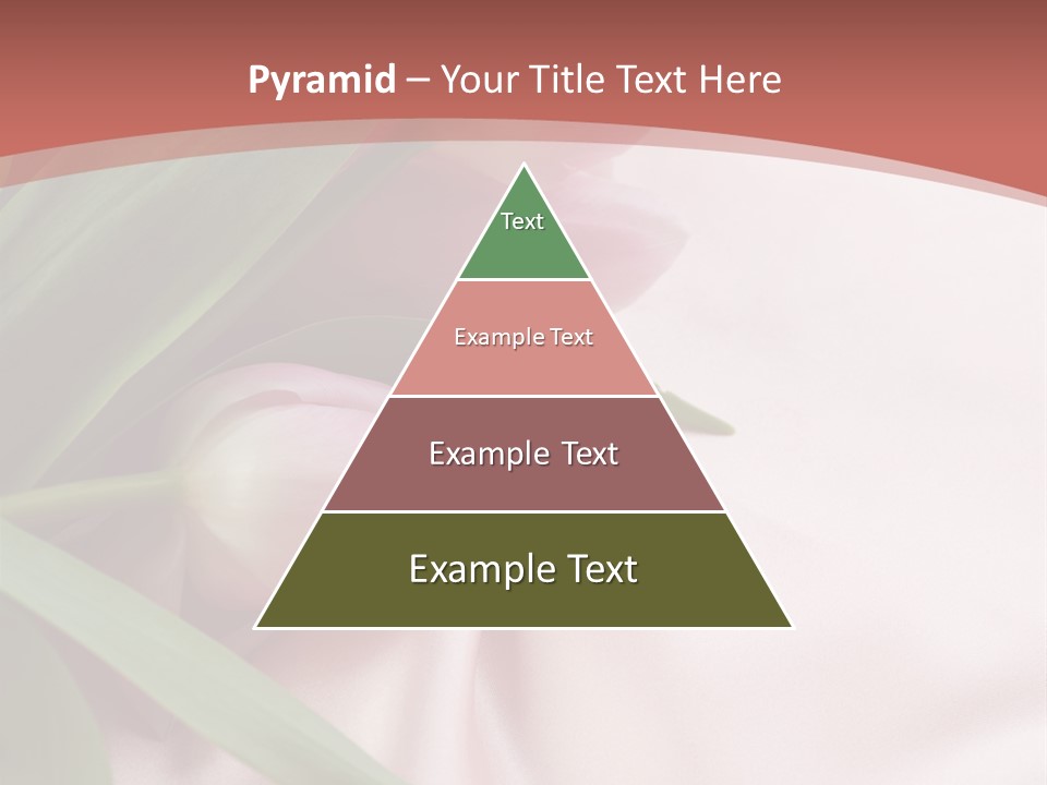 Tulip Wallpapers For Desktop PowerPoint Template