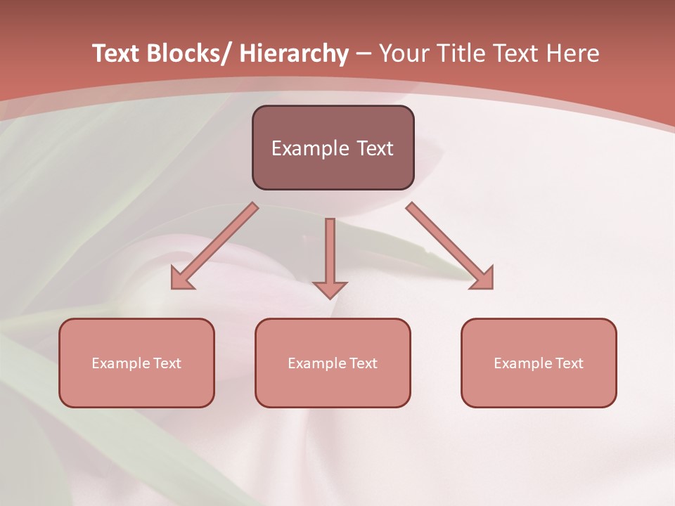 Tulip Wallpapers For Desktop PowerPoint Template