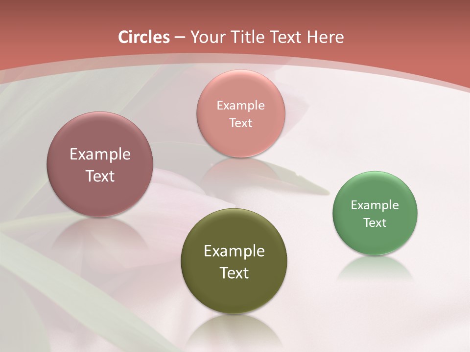 Tulip Wallpapers For Desktop PowerPoint Template