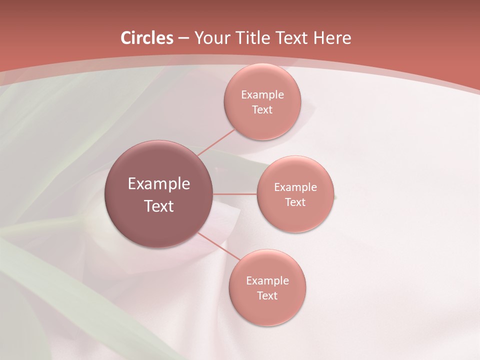 Tulip Wallpapers For Desktop PowerPoint Template