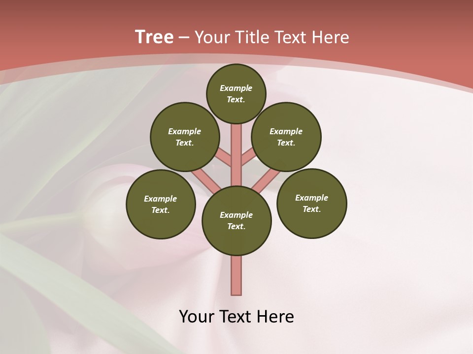 Tulip Wallpapers For Desktop PowerPoint Template