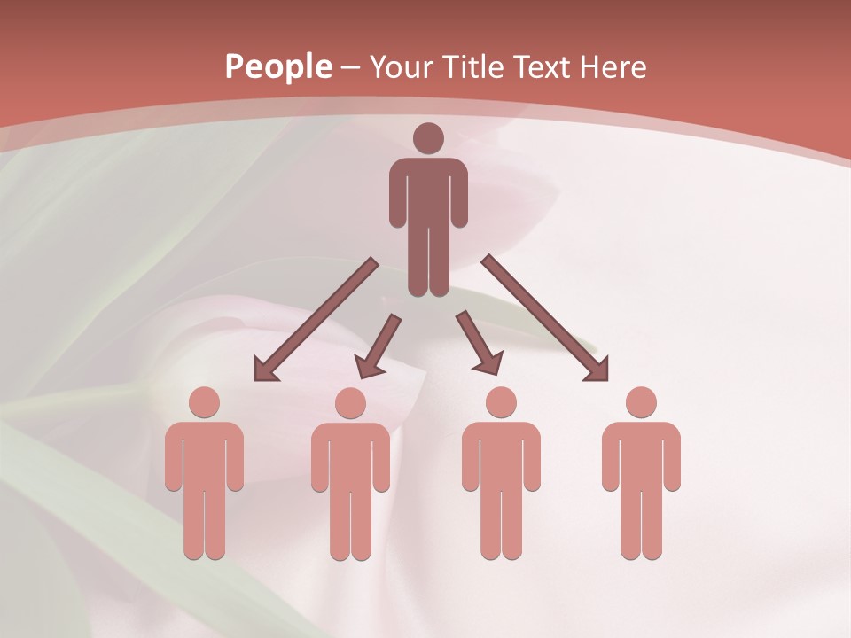 Tulip Wallpapers For Desktop PowerPoint Template