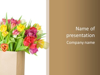 Tulip Flowers PowerPoint Template