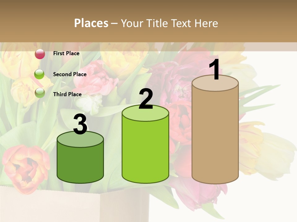 Tulip Flowers PowerPoint Template