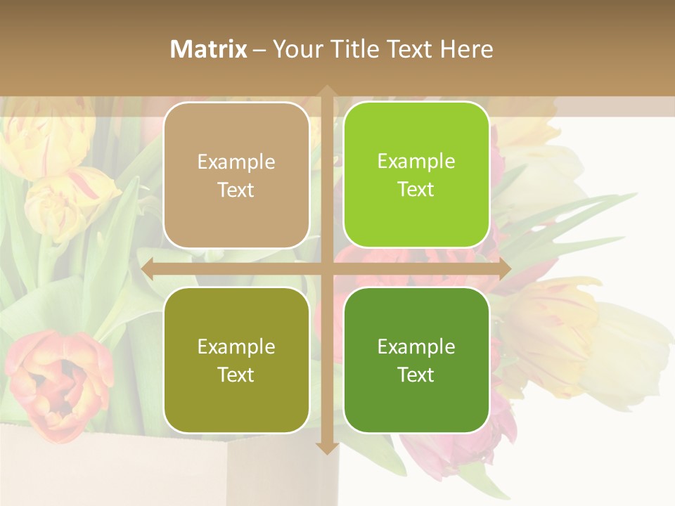 Tulip Flowers PowerPoint Template