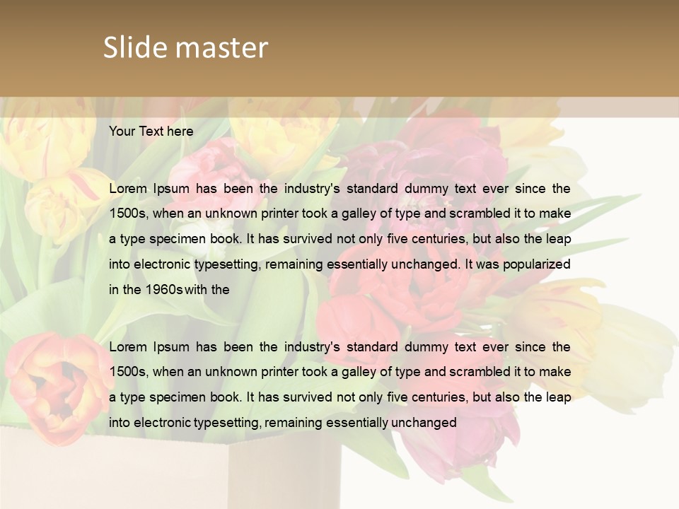 Tulip Flowers PowerPoint Template