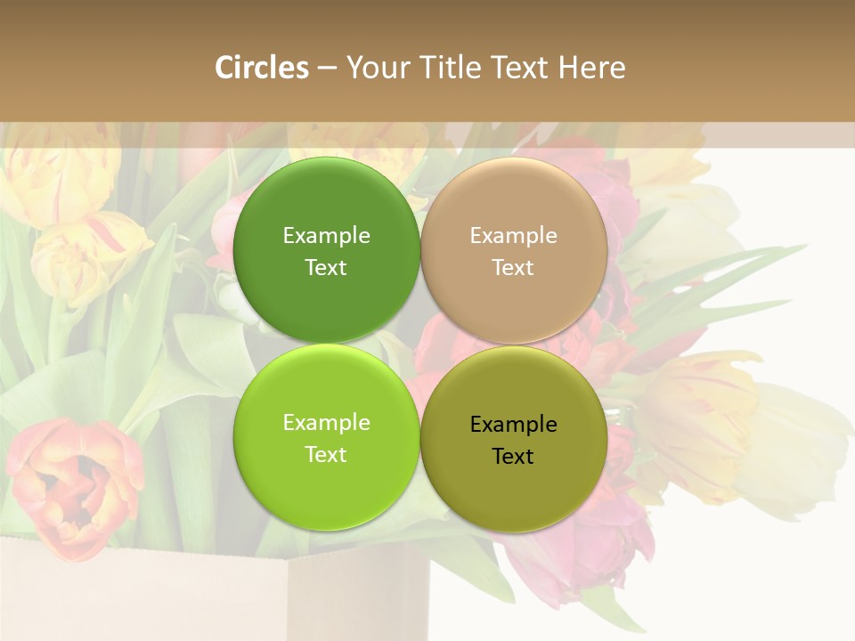 Tulip Flowers PowerPoint Template
