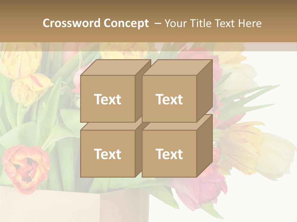 Tulip Flowers PowerPoint Template