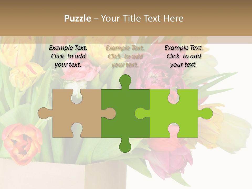 Tulip Flowers PowerPoint Template