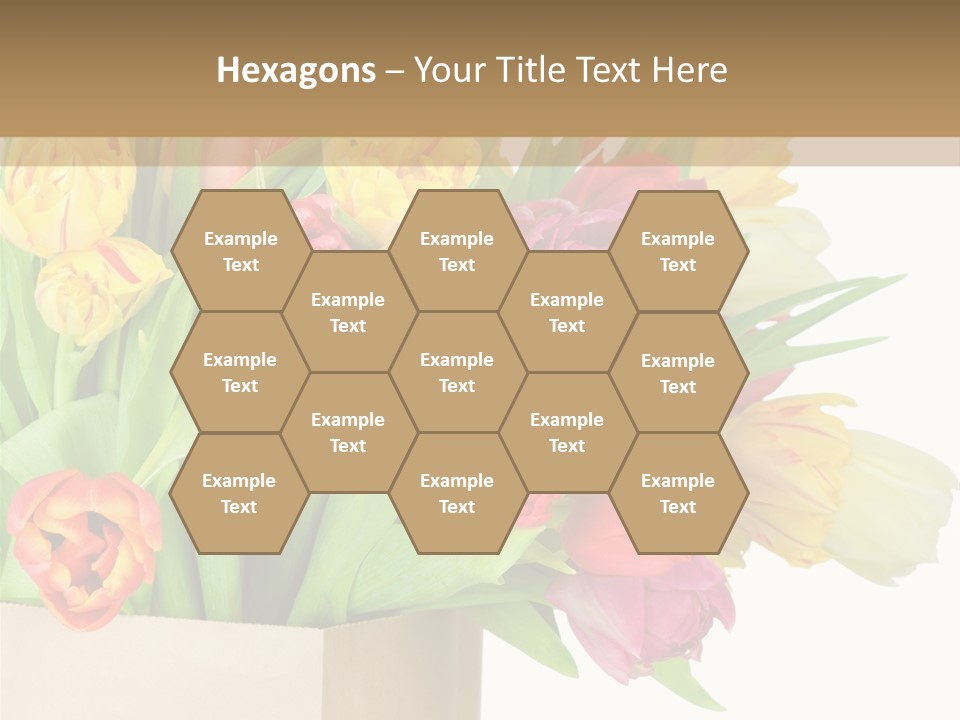 Tulip Flowers PowerPoint Template