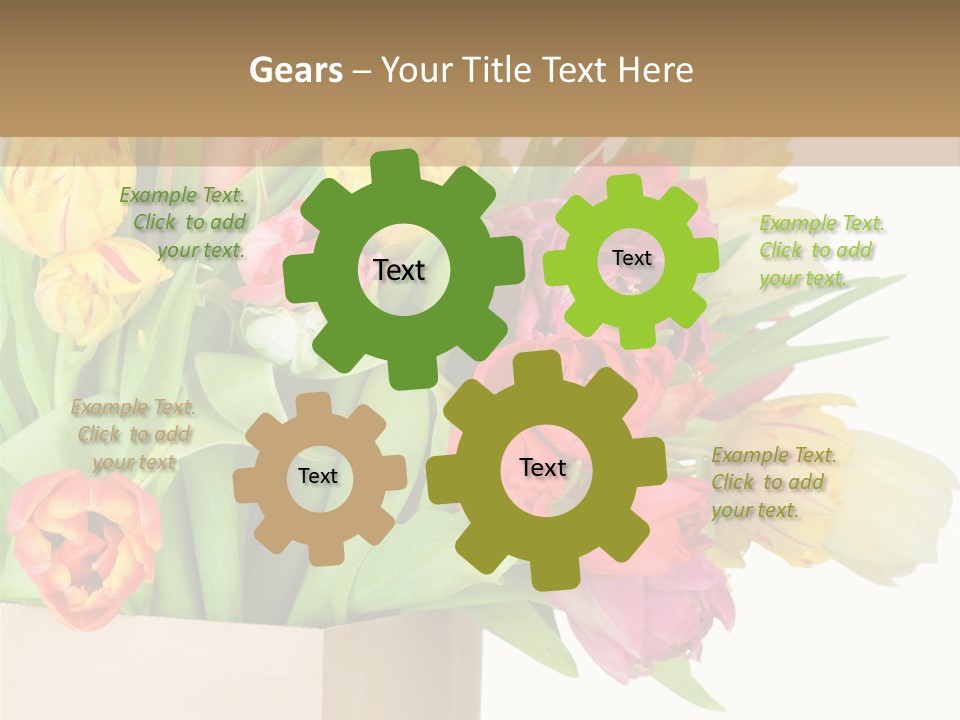 Tulip Flowers PowerPoint Template