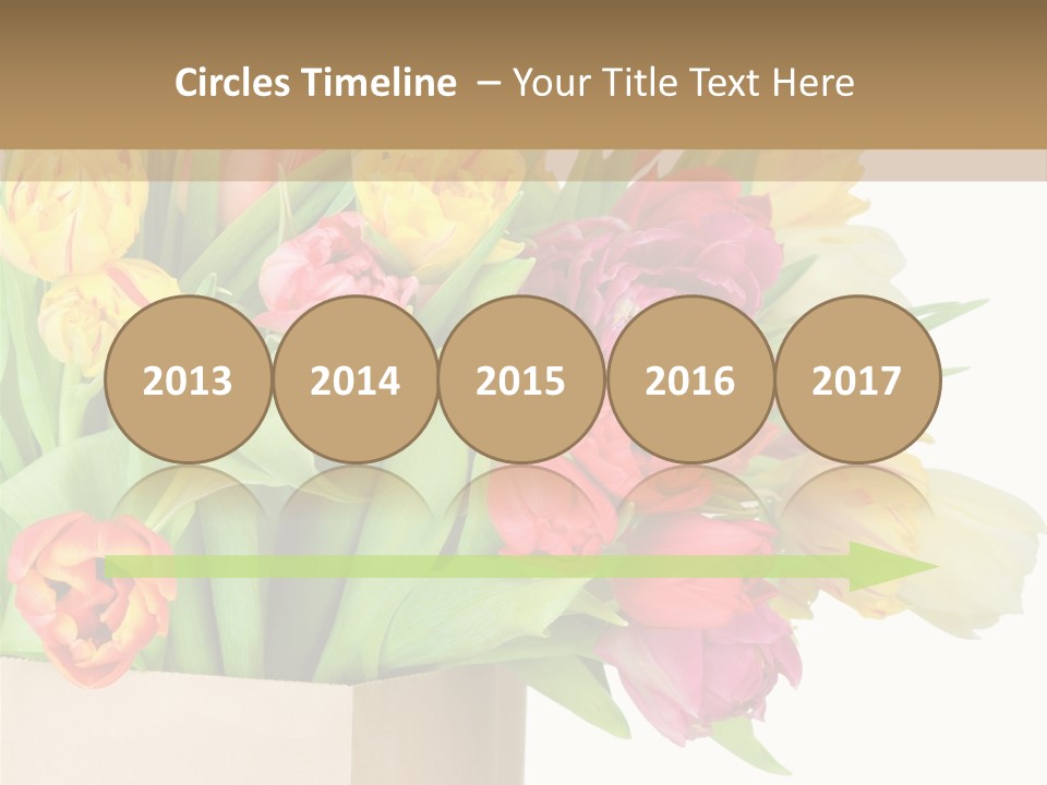 Tulip Flowers PowerPoint Template