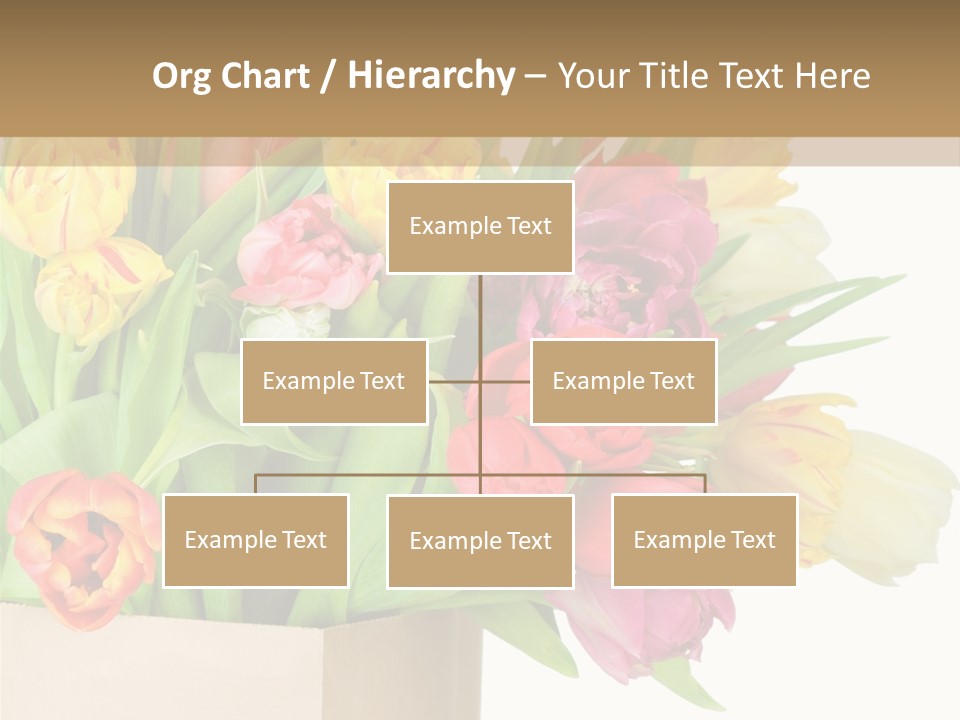 Tulip Flowers PowerPoint Template