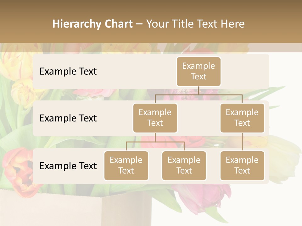 Tulip Flowers PowerPoint Template