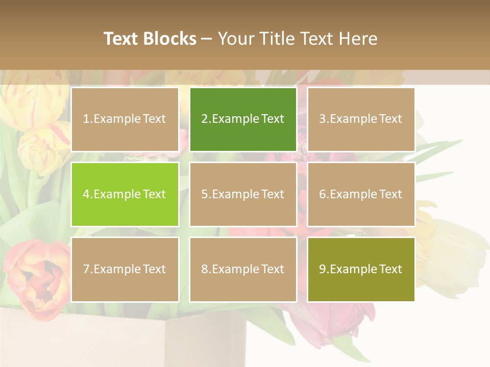 Tulip Flowers PowerPoint Template