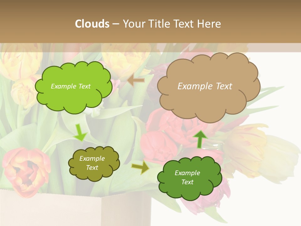 Tulip Flowers PowerPoint Template