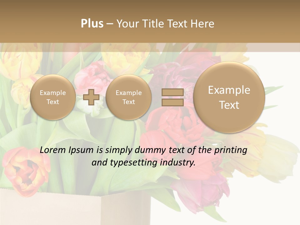 Tulip Flowers PowerPoint Template