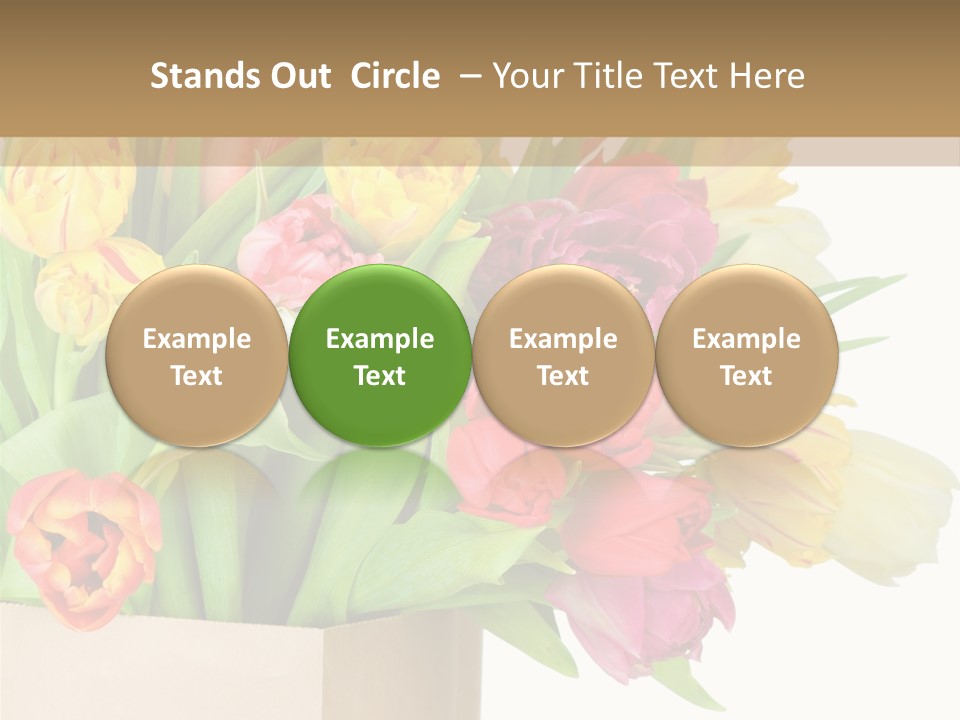 Tulip Flowers PowerPoint Template