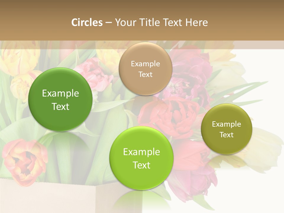 Tulip Flowers PowerPoint Template